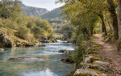 Can you pay expenses from a Spanish estate before accepting the inheritance?